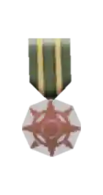 Silver Medal